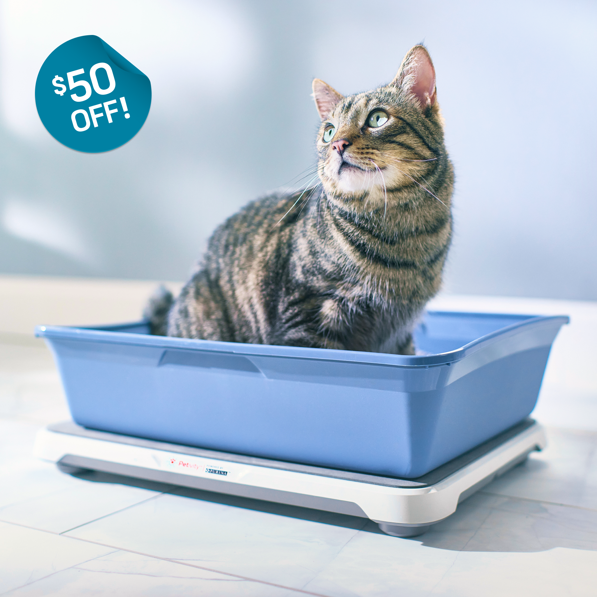 Pet smart cat litter box best sale