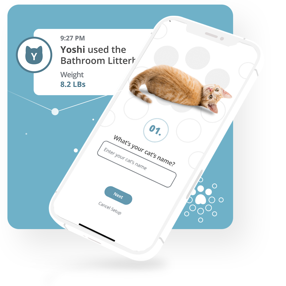 Petivity mobile app showing a cat's litterbox usage alert