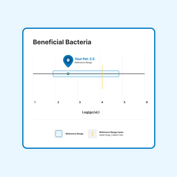 Microbiome Analysis Kit – Advanced