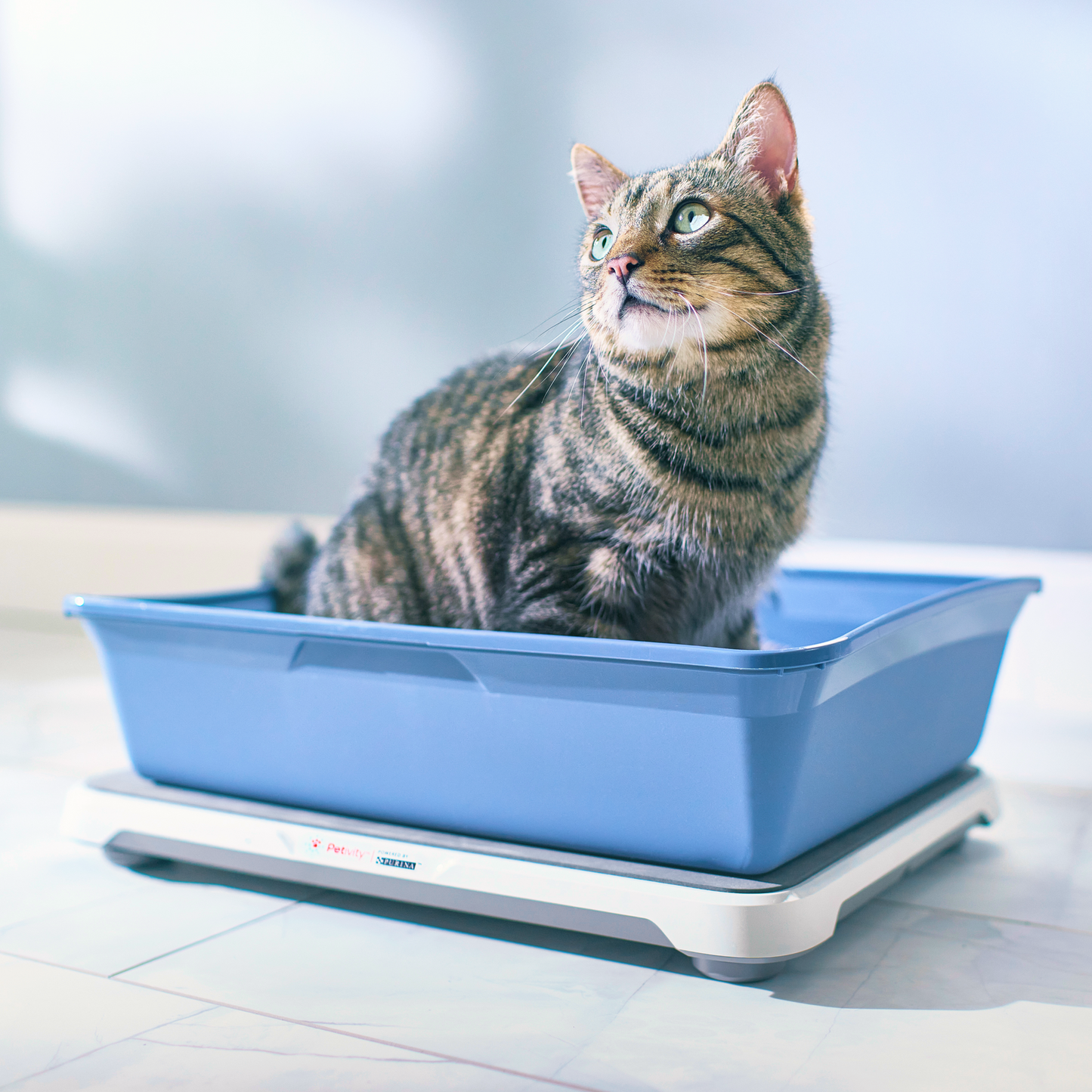 Buy the Smart Litter Box Monitor Petivity