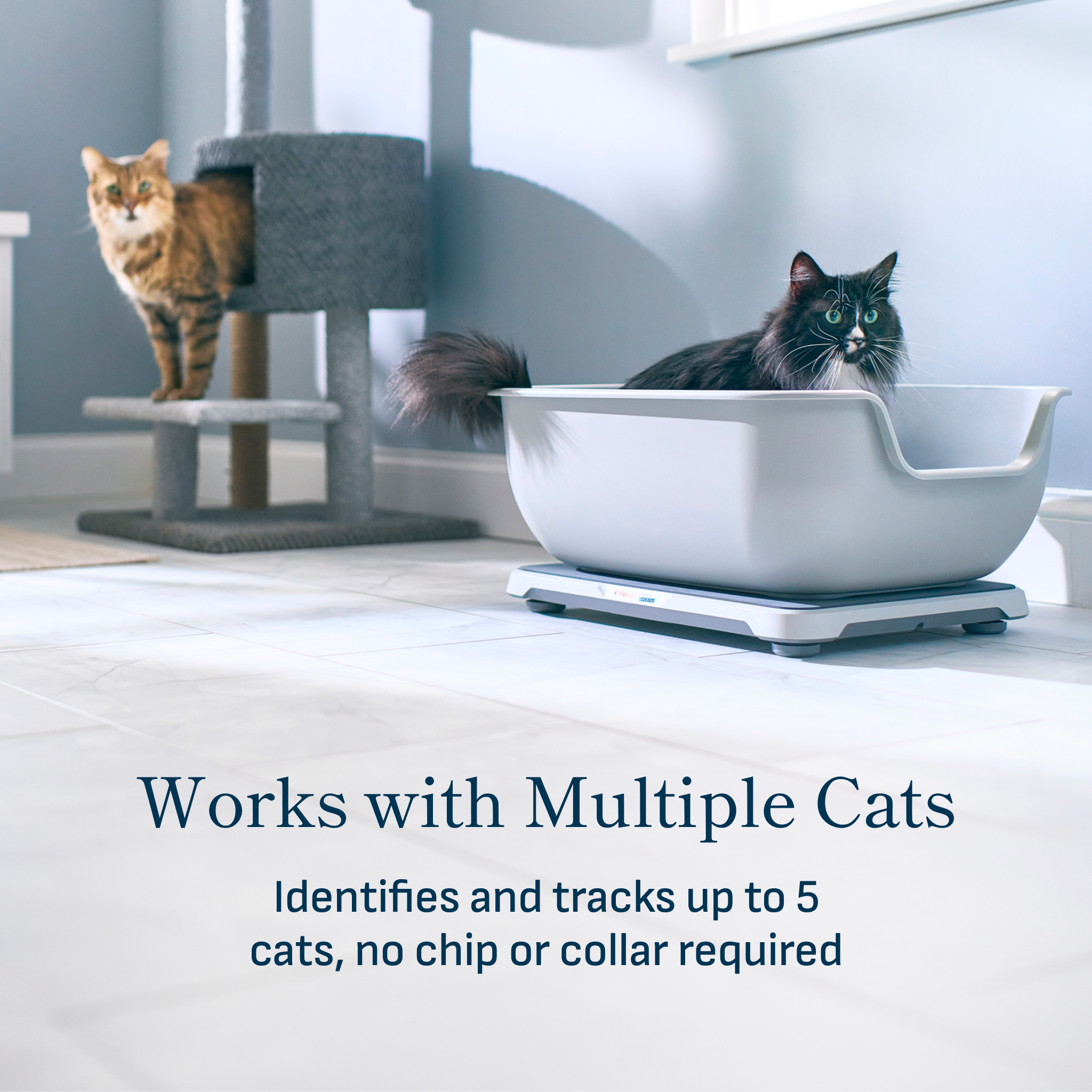 Cat litter boxes for multiple cats best sale