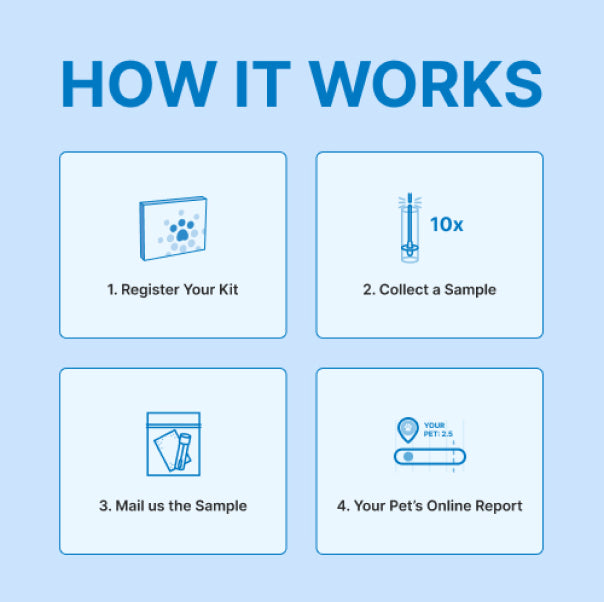 Microbiome Analysis Kit – Advanced